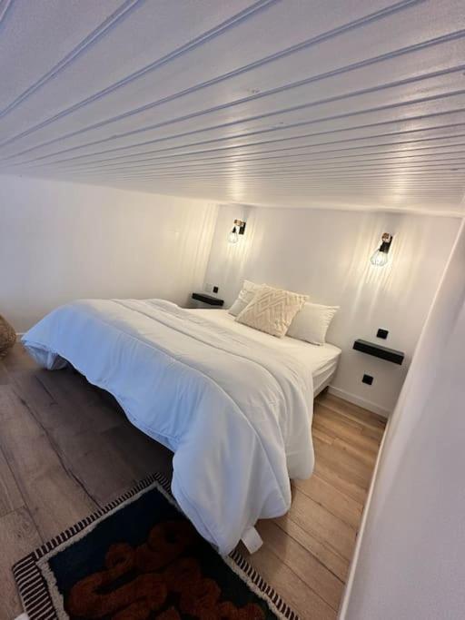 Apartmán Duplex Lumineux Nantes Exteriér fotografie